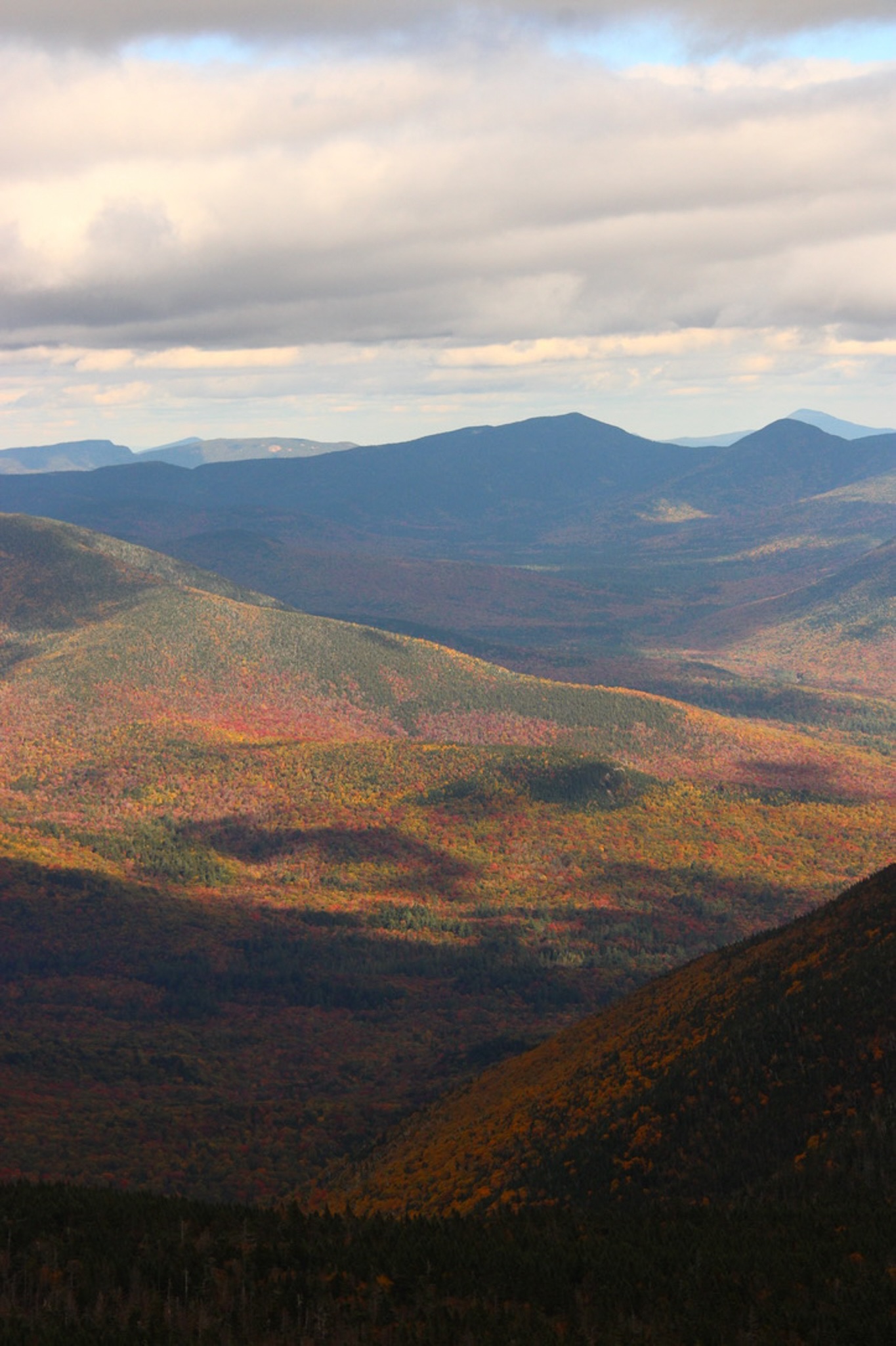Fall
